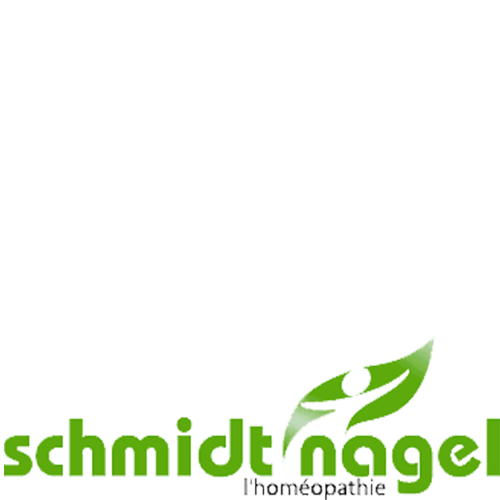Schmidtnagel